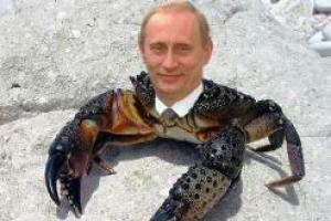 Чому Путін – краб, Медведєв – джміль, а Ленін – гриб?
