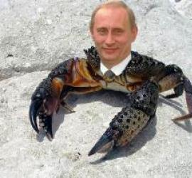 Kāpēc Putins ir krabis, Medvedevs - jmils, bet Ļeņins - sēne?