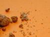 Диета за пясък в нирка: диета, правилно хранене, прием и защита на храната Диета за пясък в нирка
